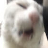 amy_h0f
